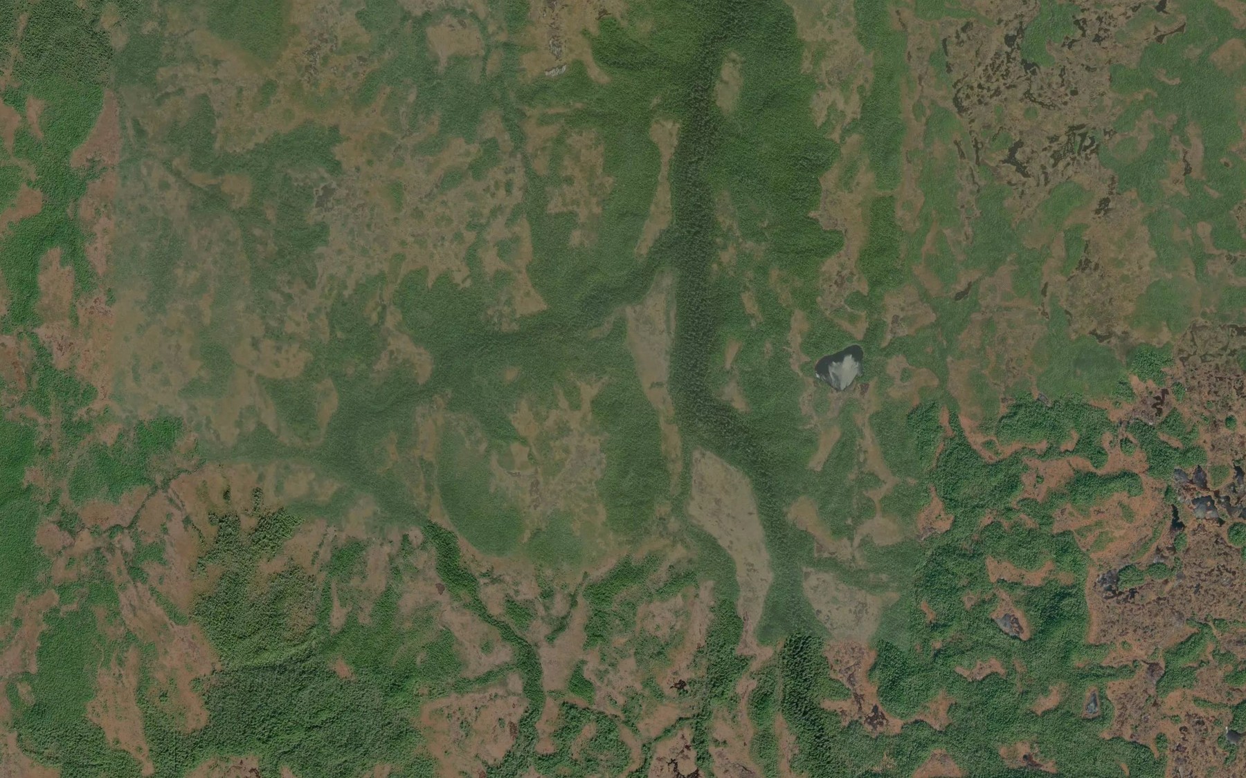 Satellite map of the Drizzle Creek