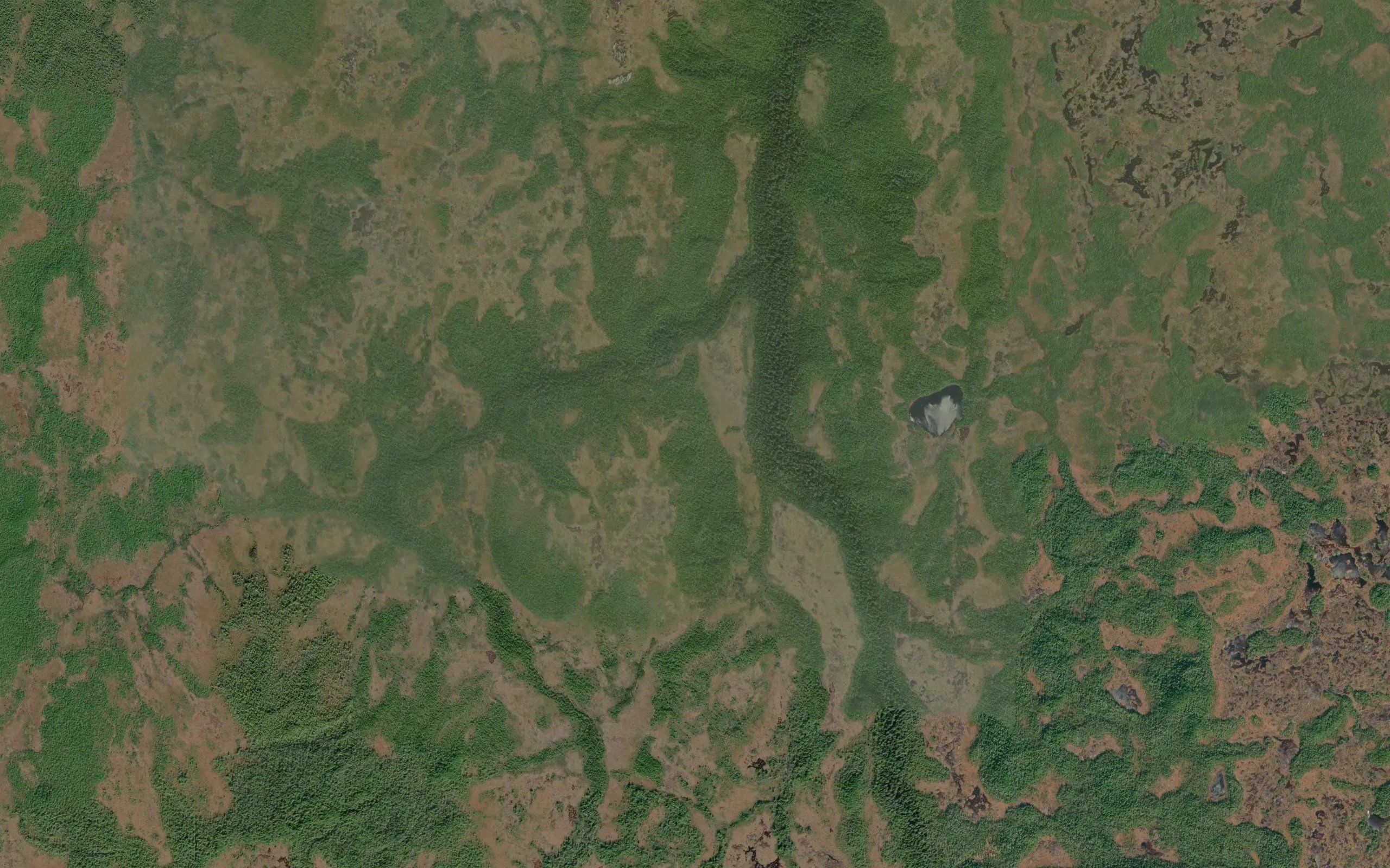 Drizzle Creek