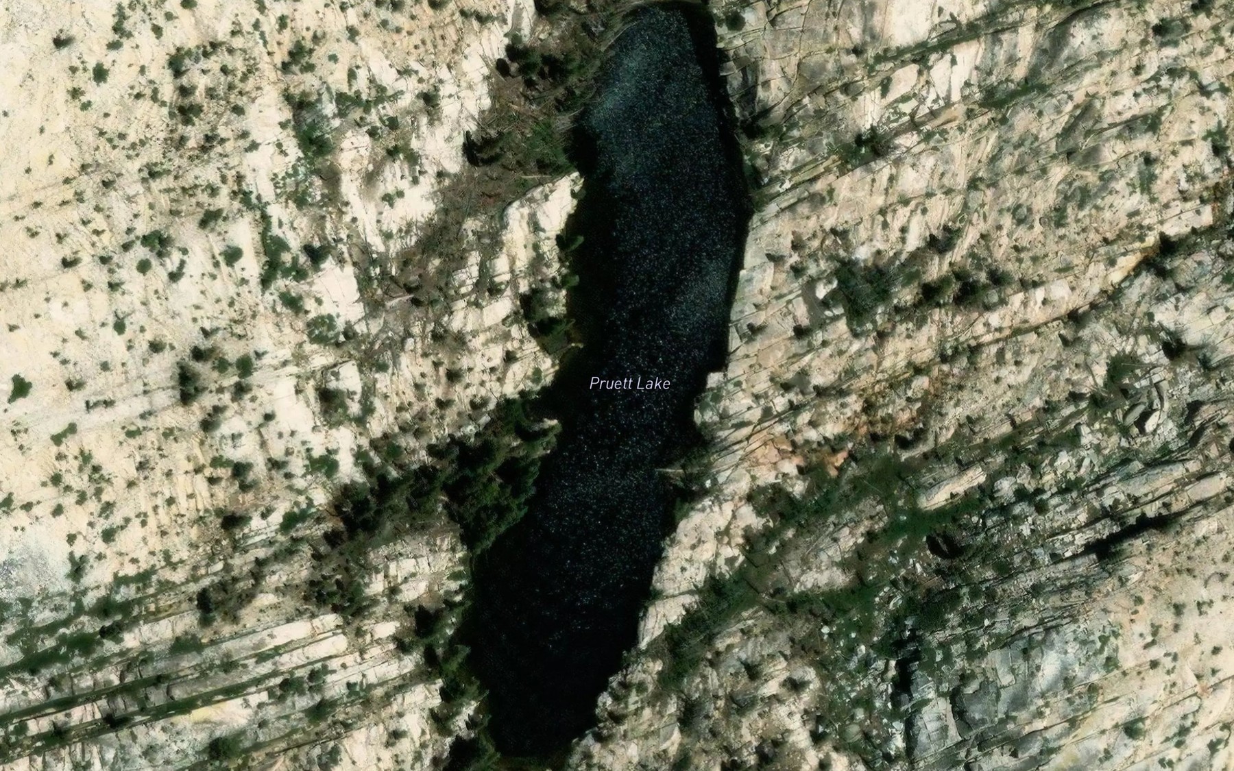 Satellite map of the Pruitt Lake