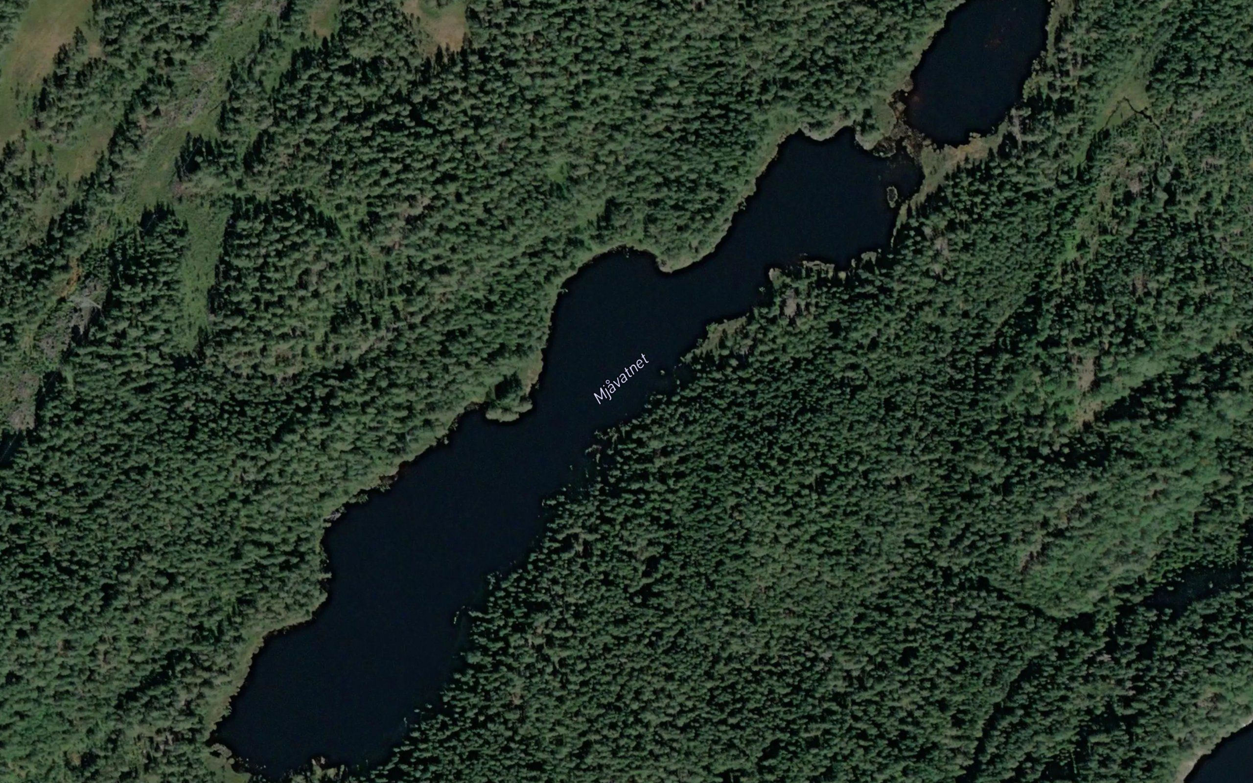 Mjavatnet
