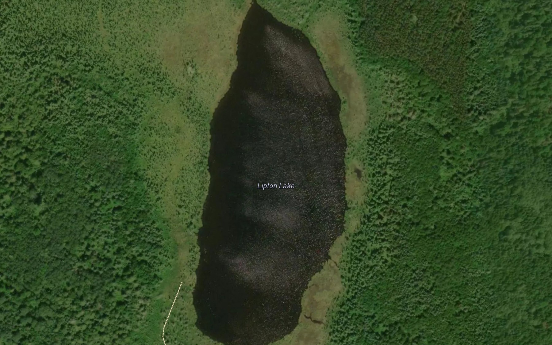 Satellite map of the Lipton Lake