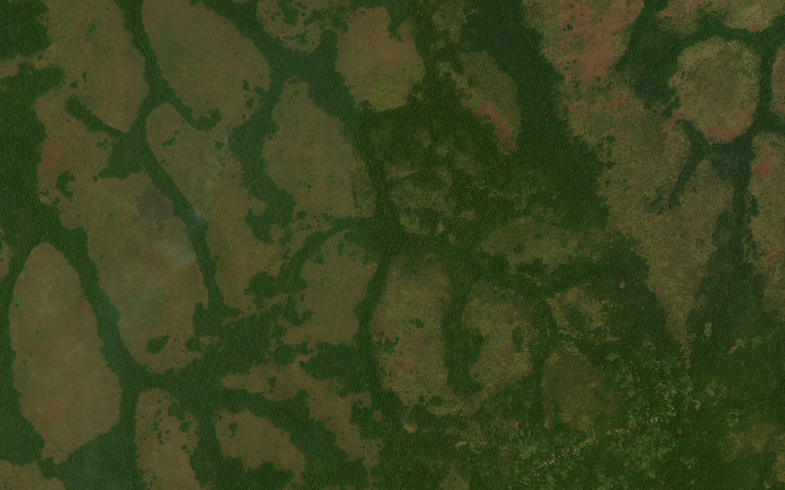 Yakpayakpa