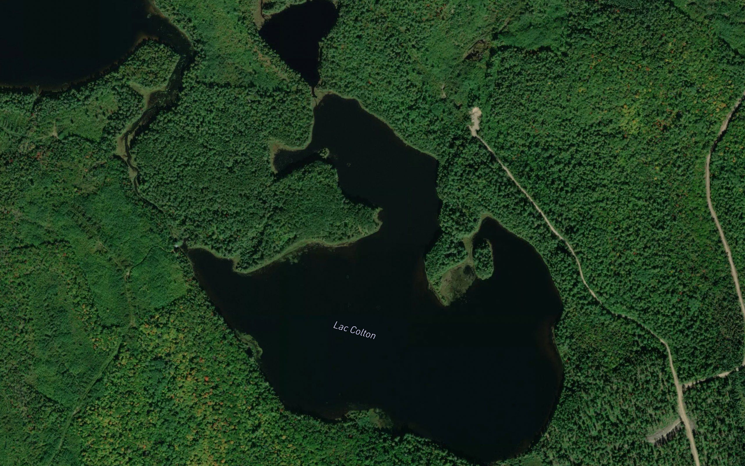 Lac Colton