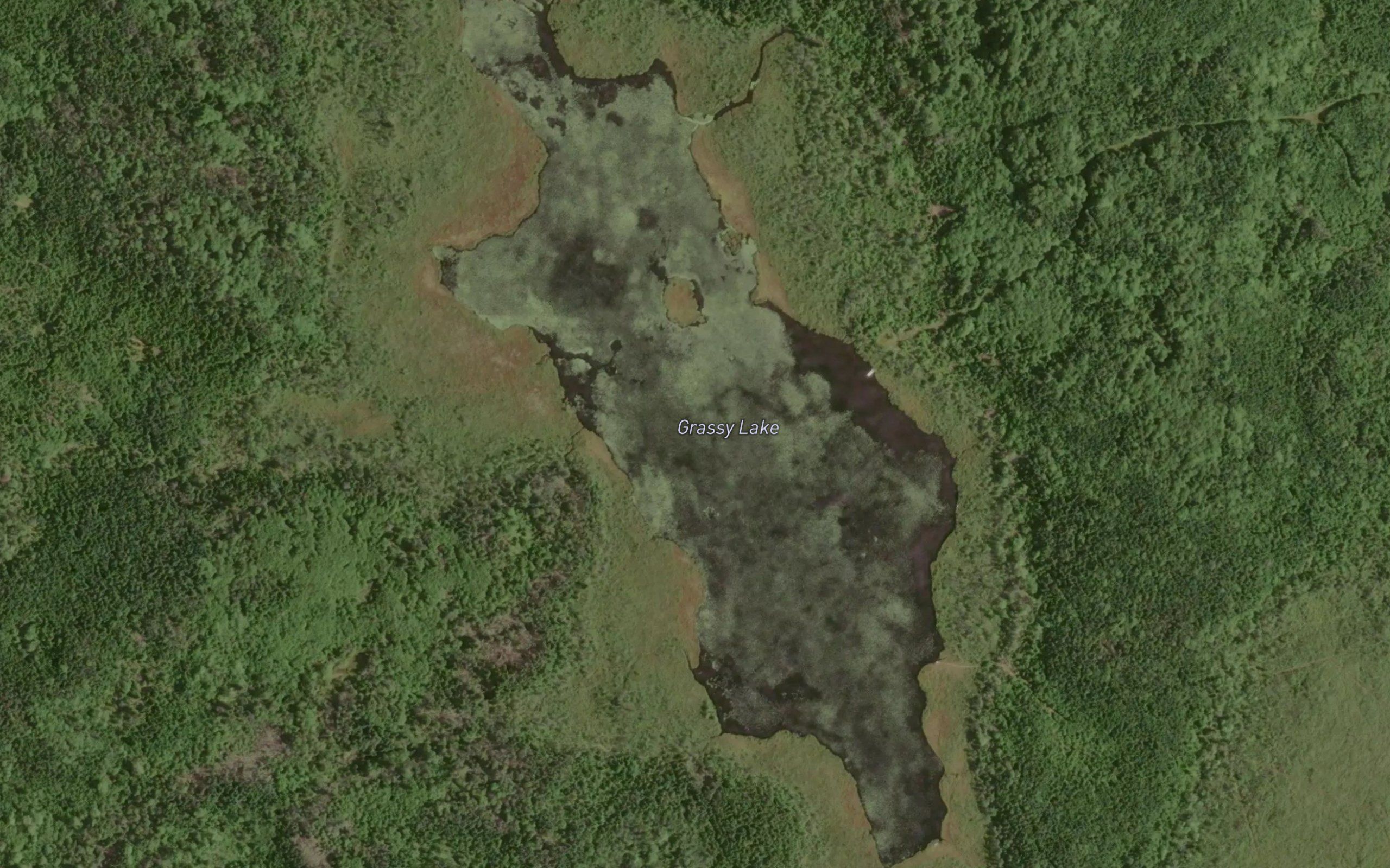 Grassy Lake