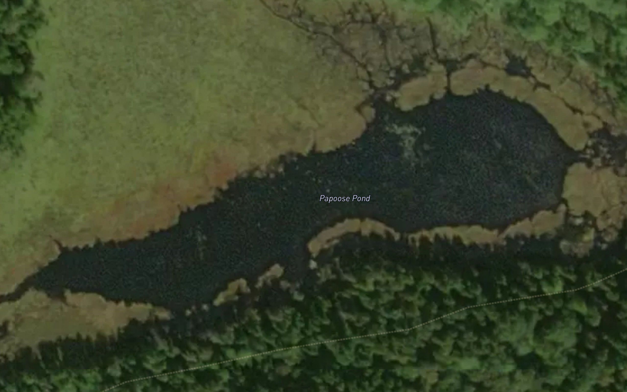 Papoose Pond