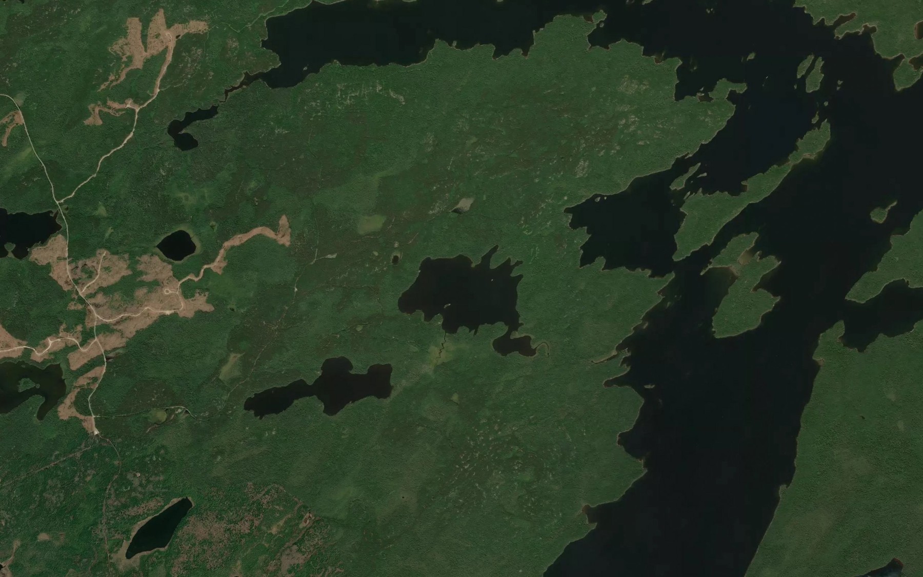 Satellite map of the Dan's Lake