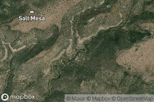 Upper Cave Creek Spring