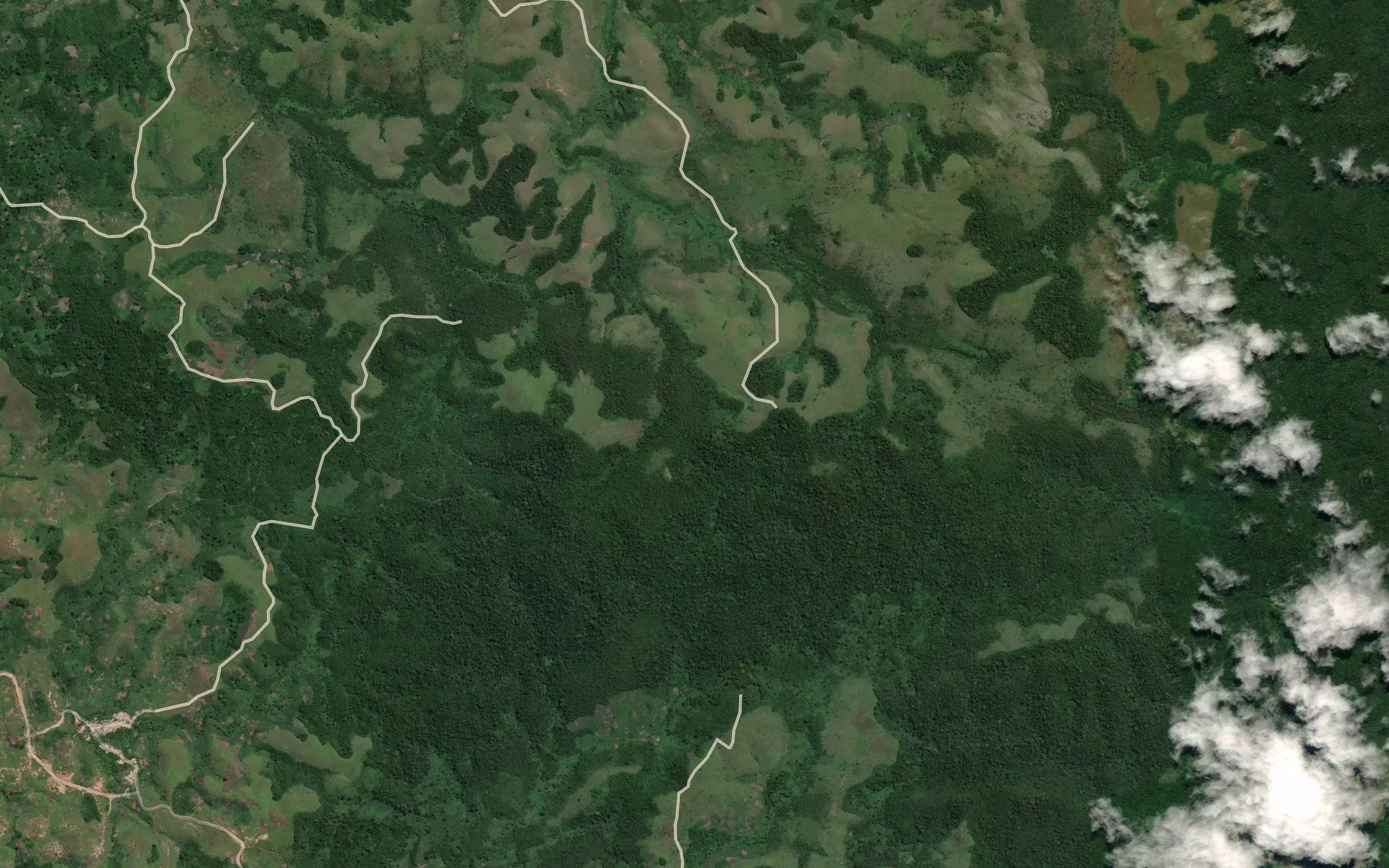 Bala