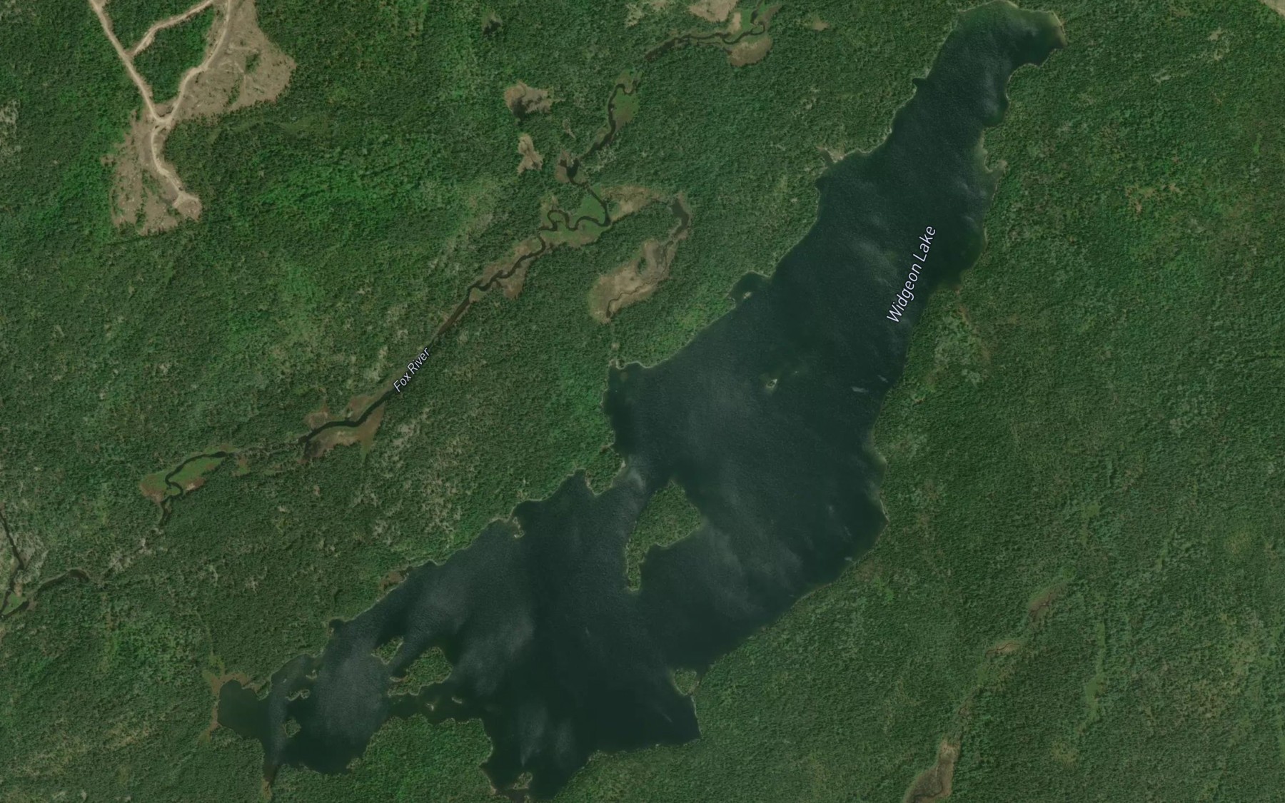 Satellite map of the Widgeon Lake