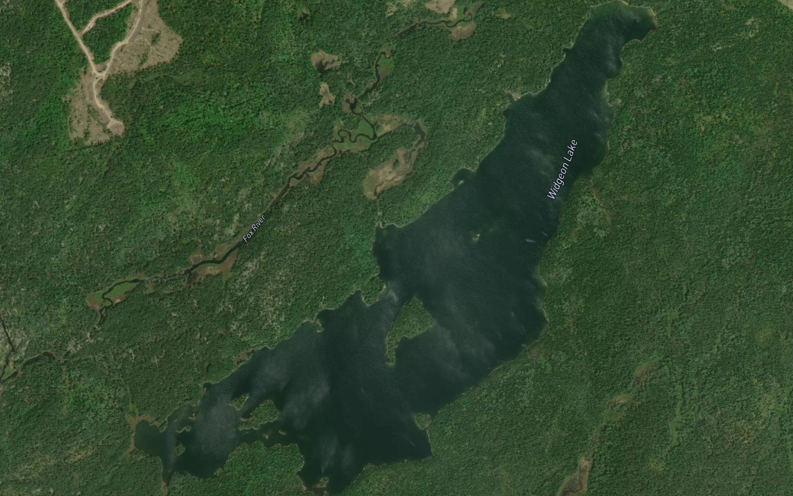 Widgeon Lake