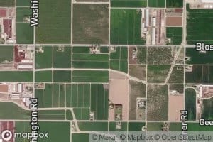 Stevinson Upper Lateral