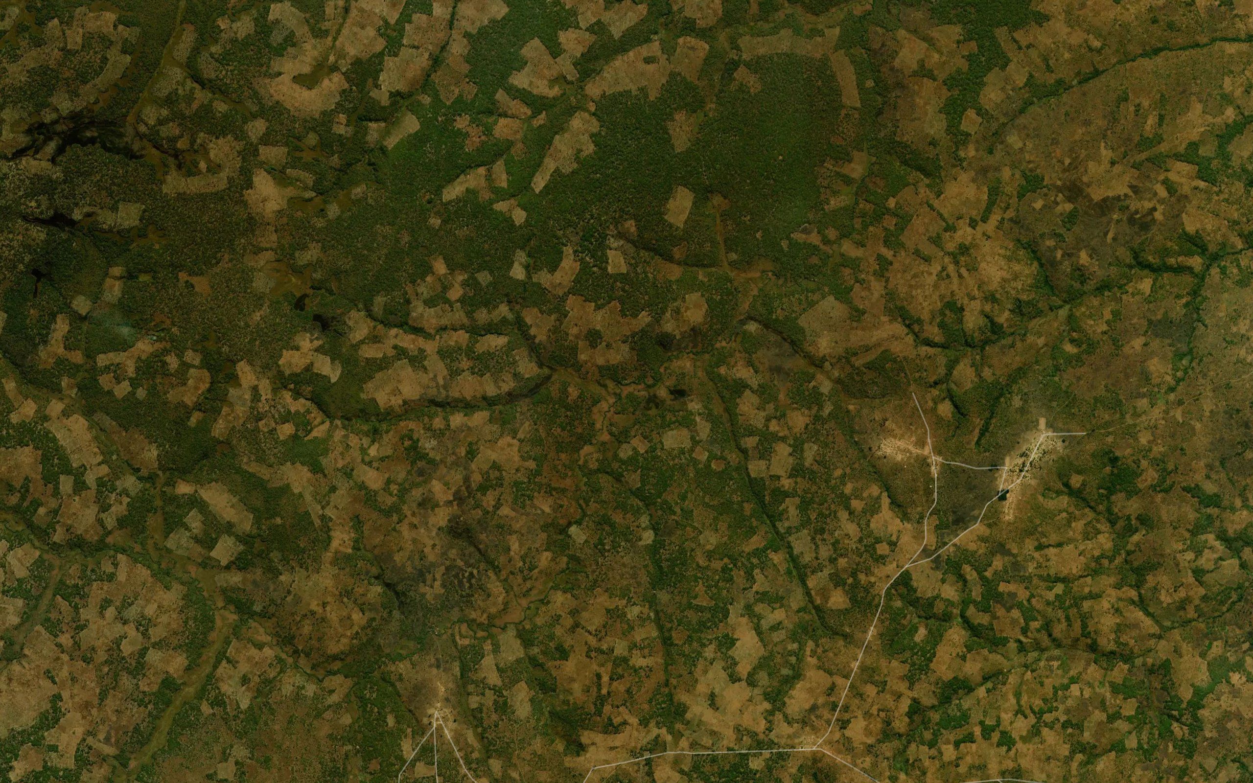 Caluanguele