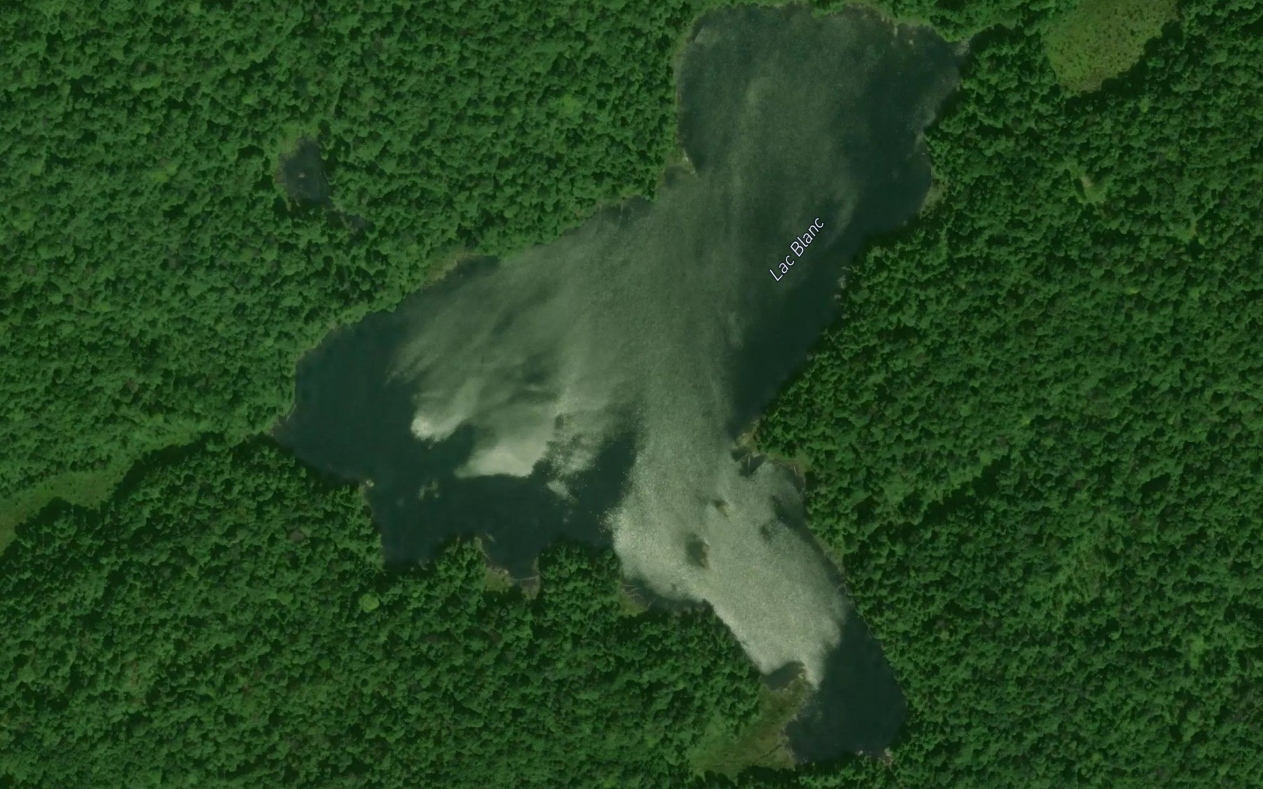 Satellite map of the Lac Blanc