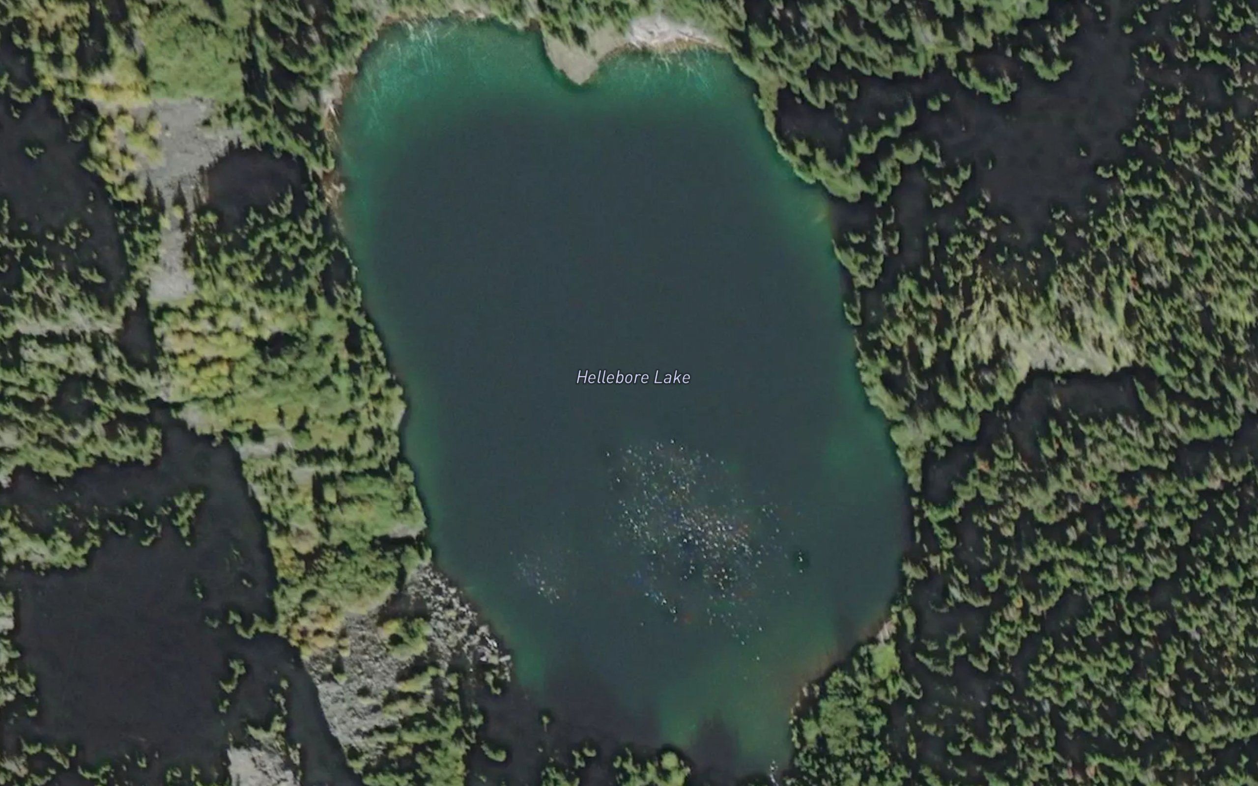 Hellebore Lake