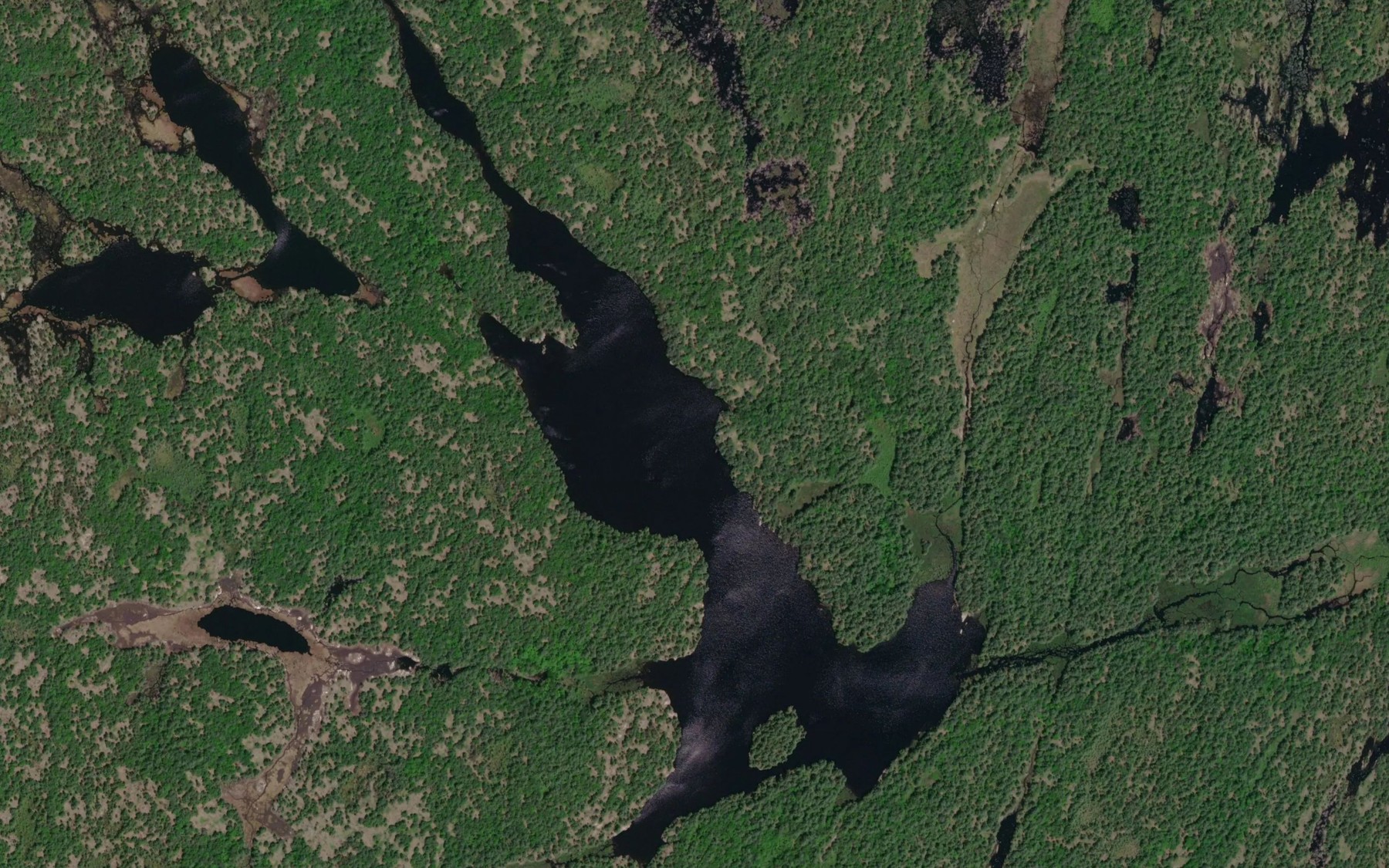 Satellite map of the Green Island Lake