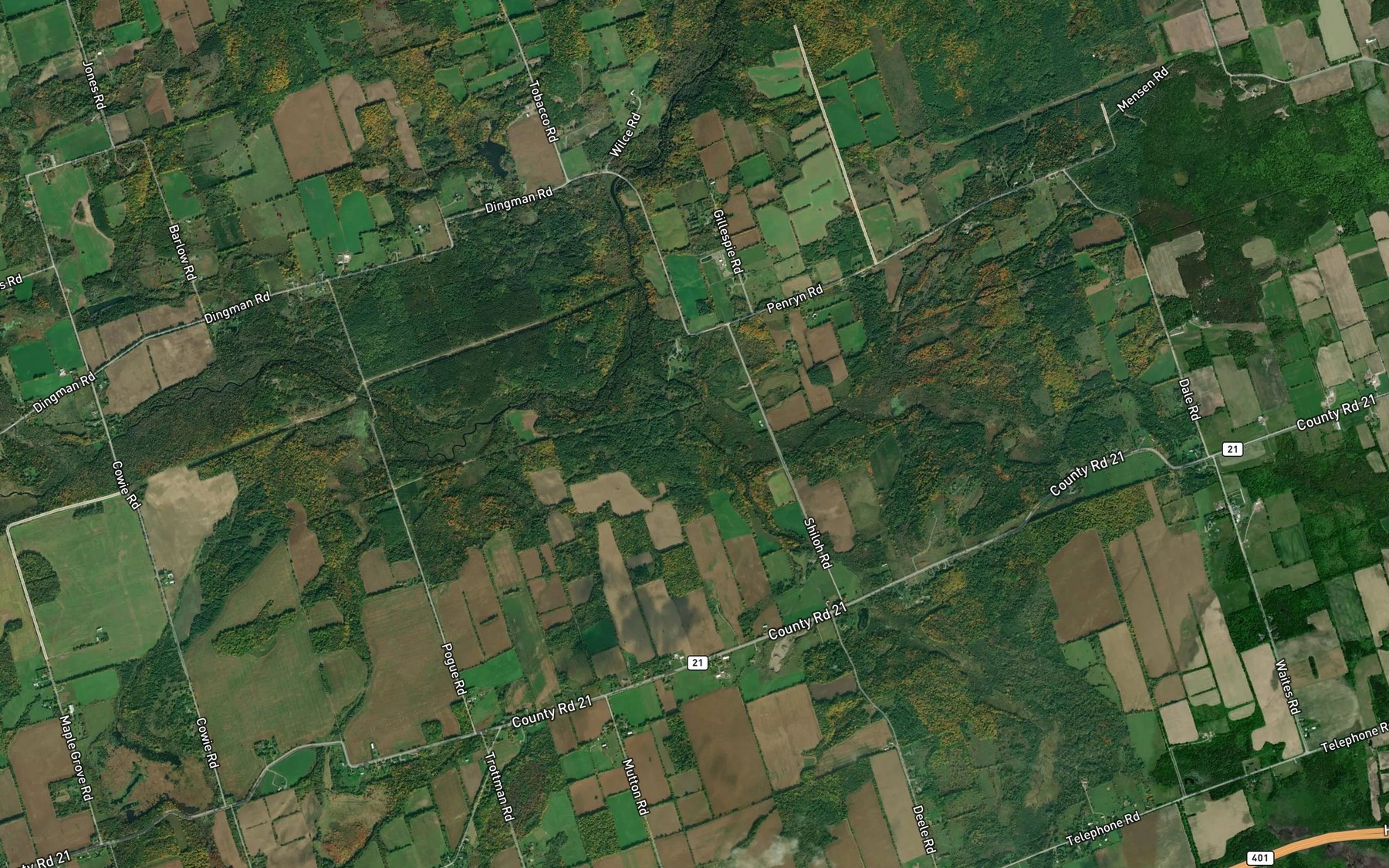 Satellite map of the Biddy Creek