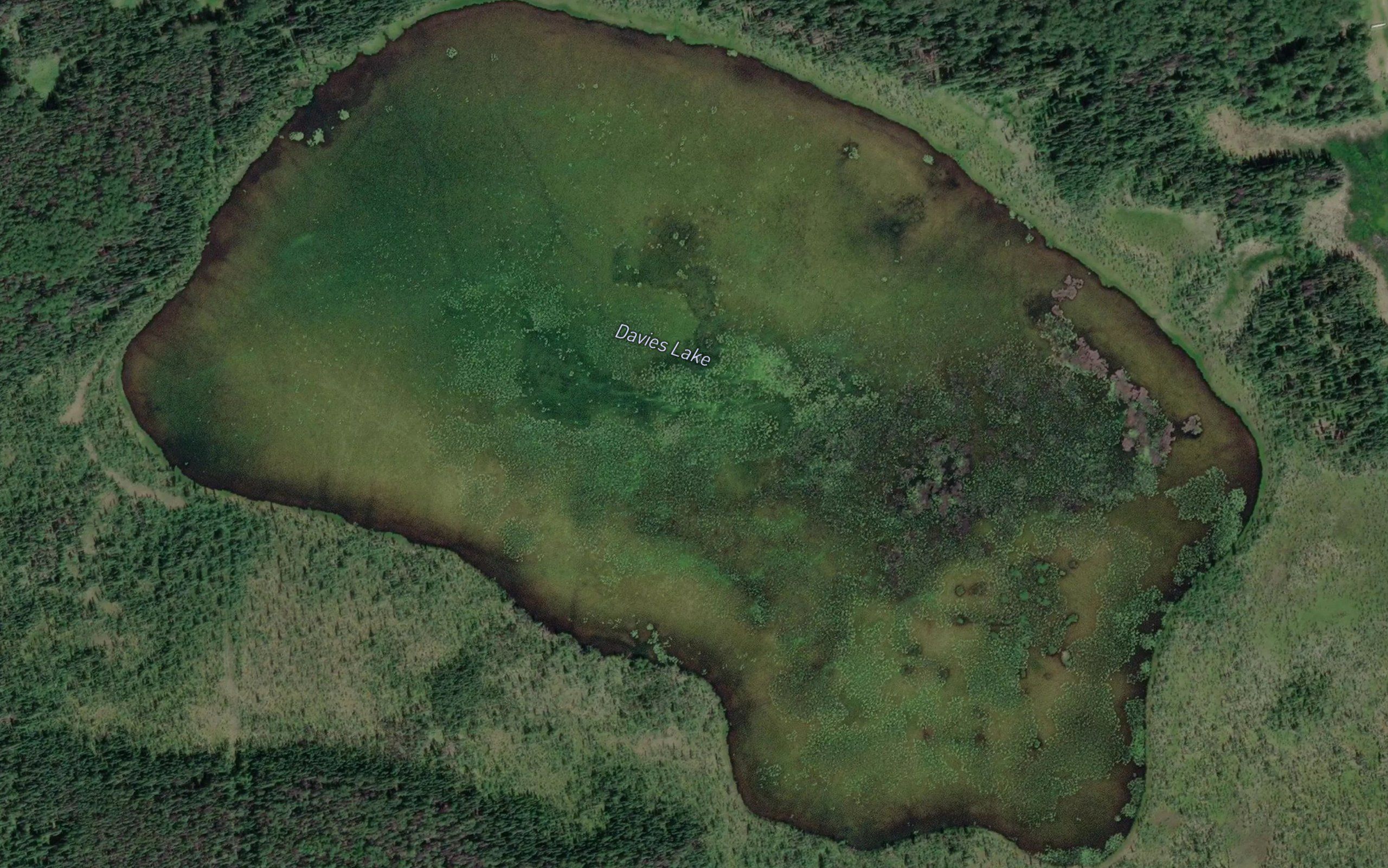 Davies Lake