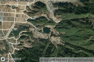 Hyogije