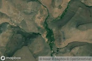 Coon Creek