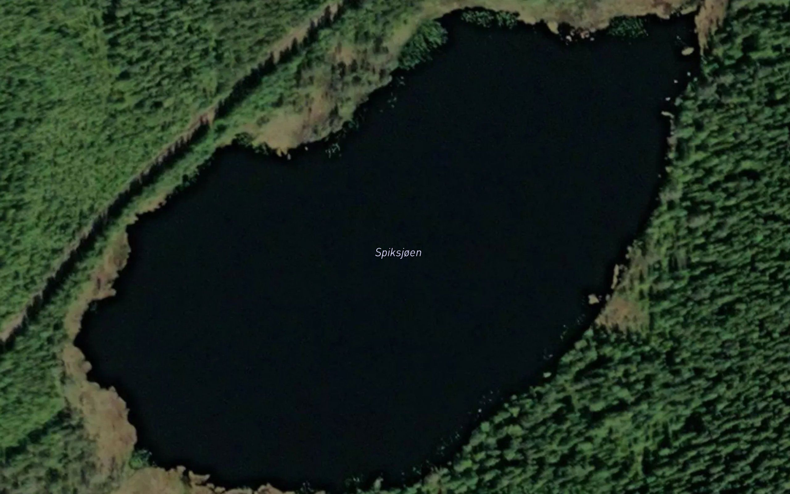 Spiksjoen