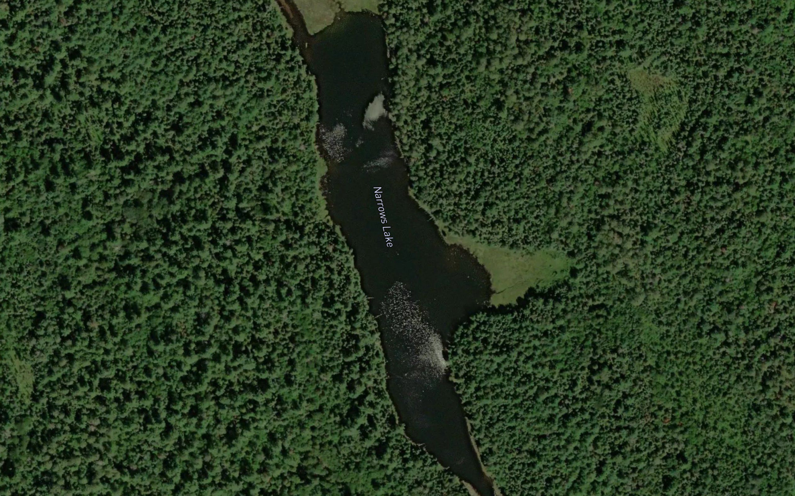 Narrows Lake