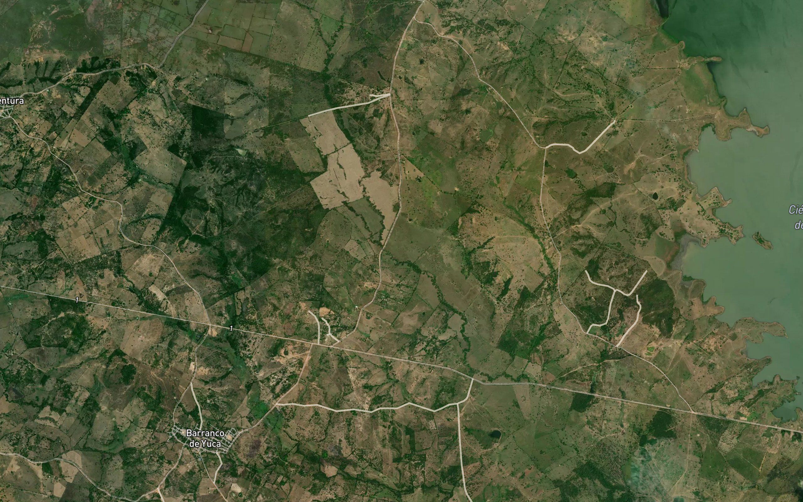 Arroyo Henequen