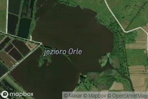 Jezioro Orle