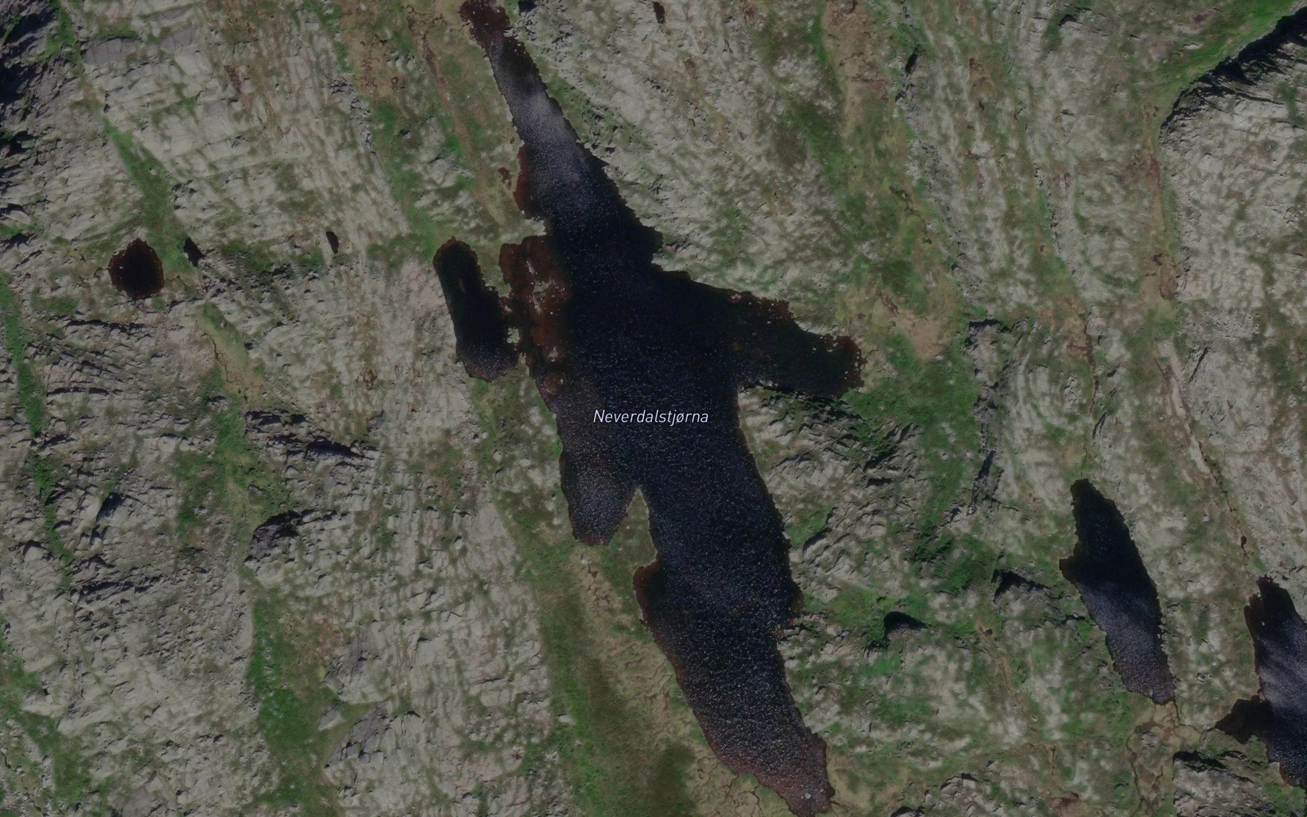 Neverdalstjorna