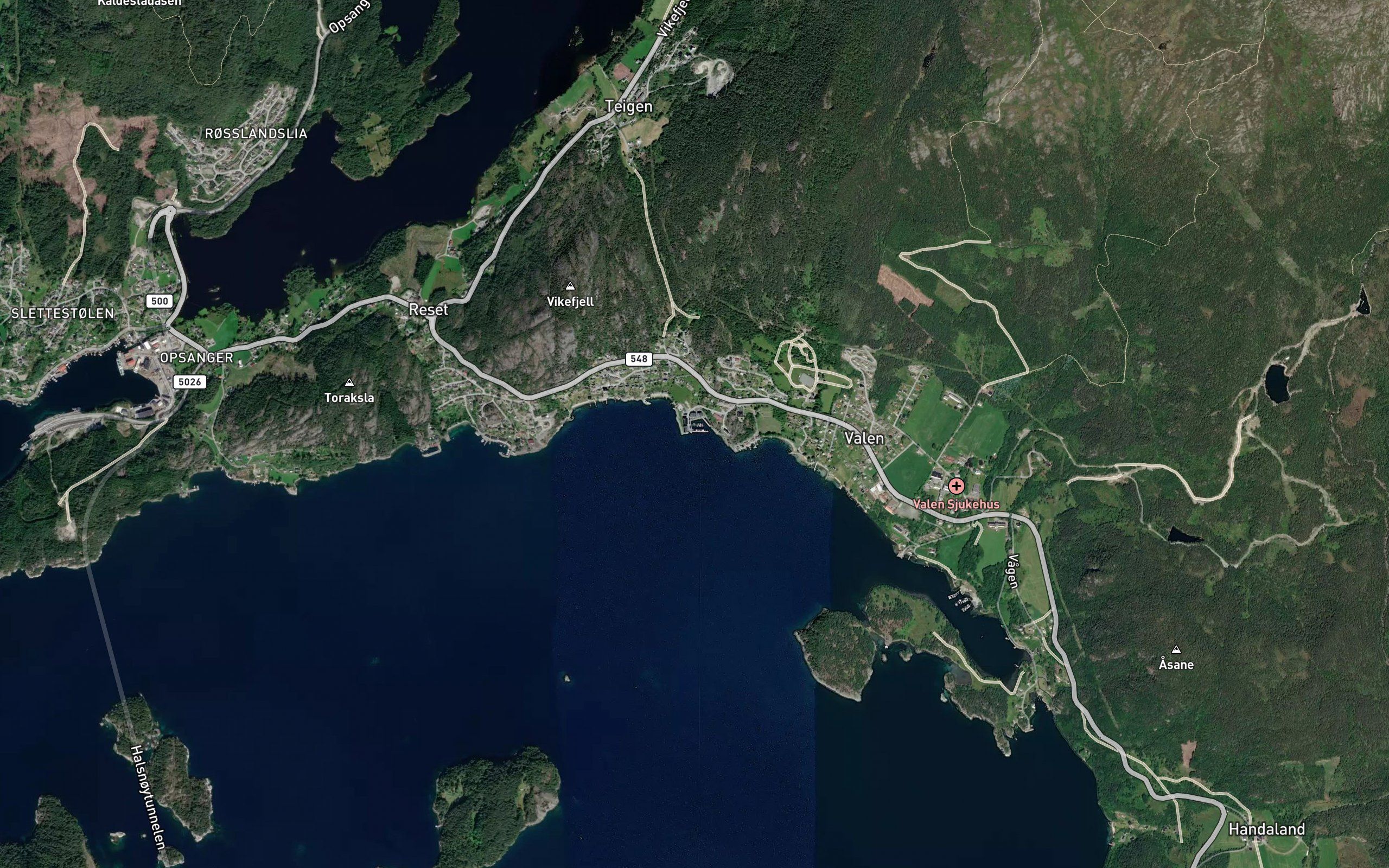 Klubbavika