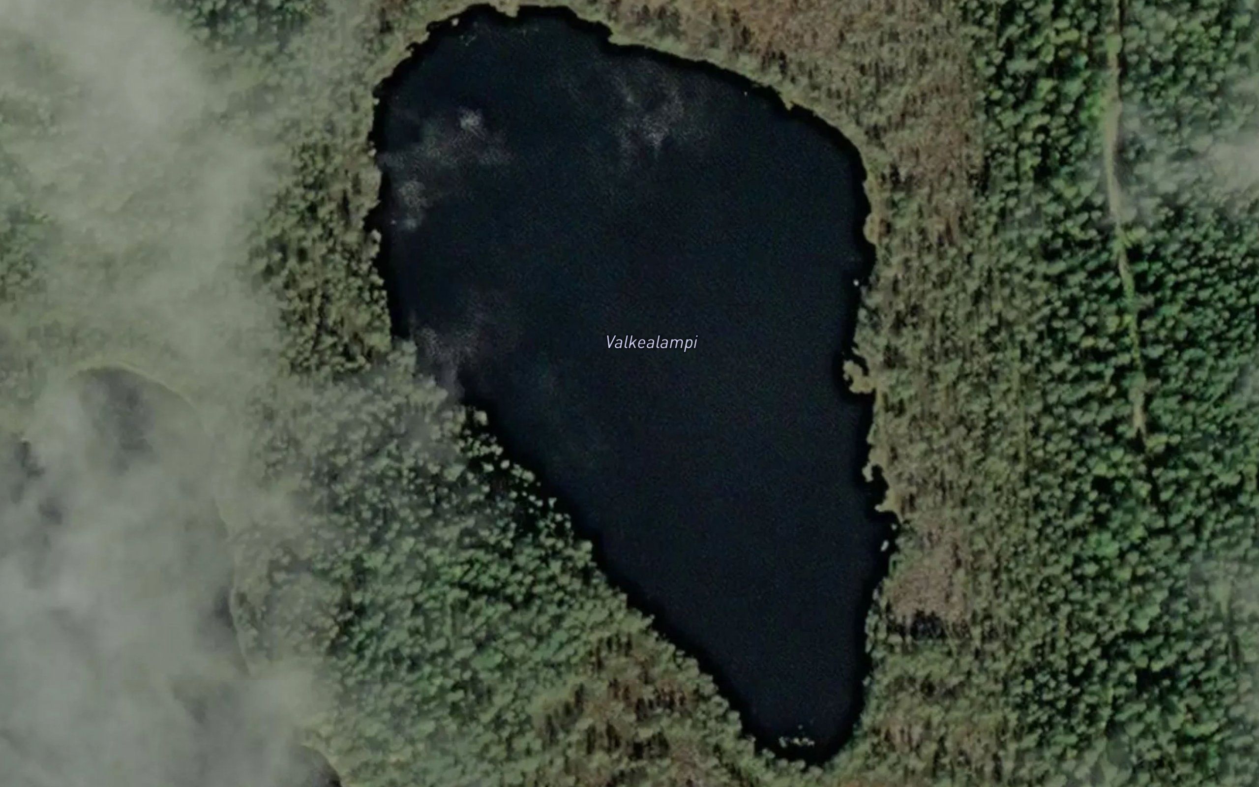 Valkealampi