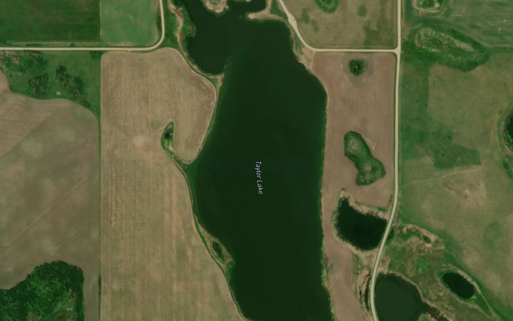 Satellite map of the Taylor Lake