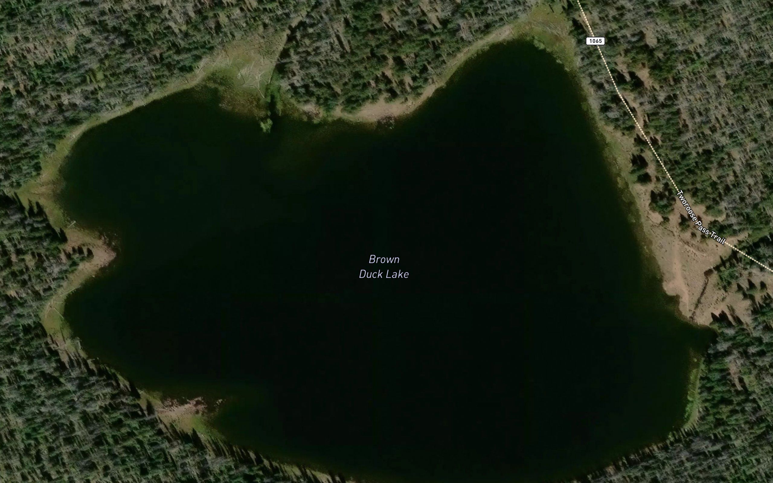 Brown Duck Lake