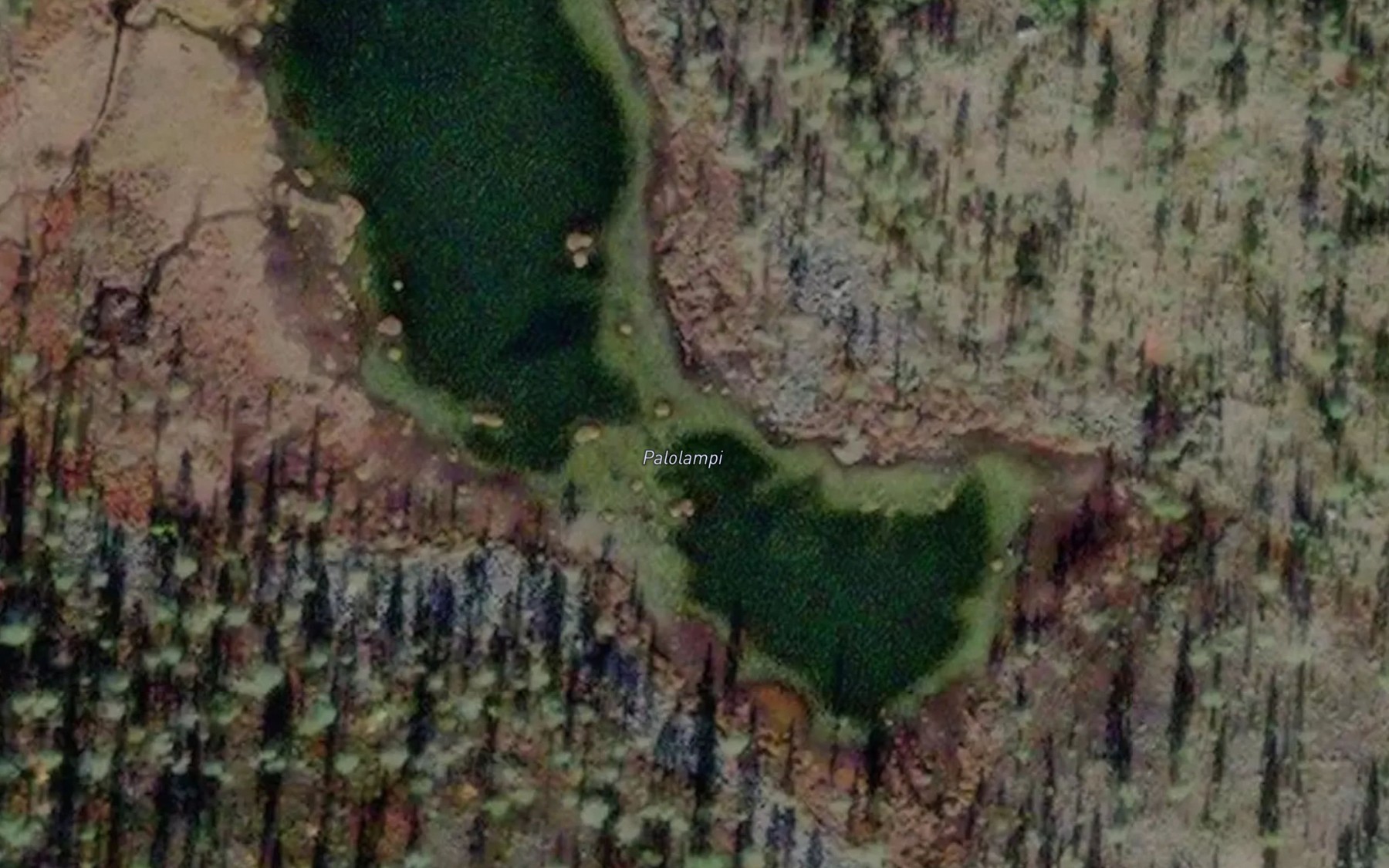 Satellite map of the Palolampi