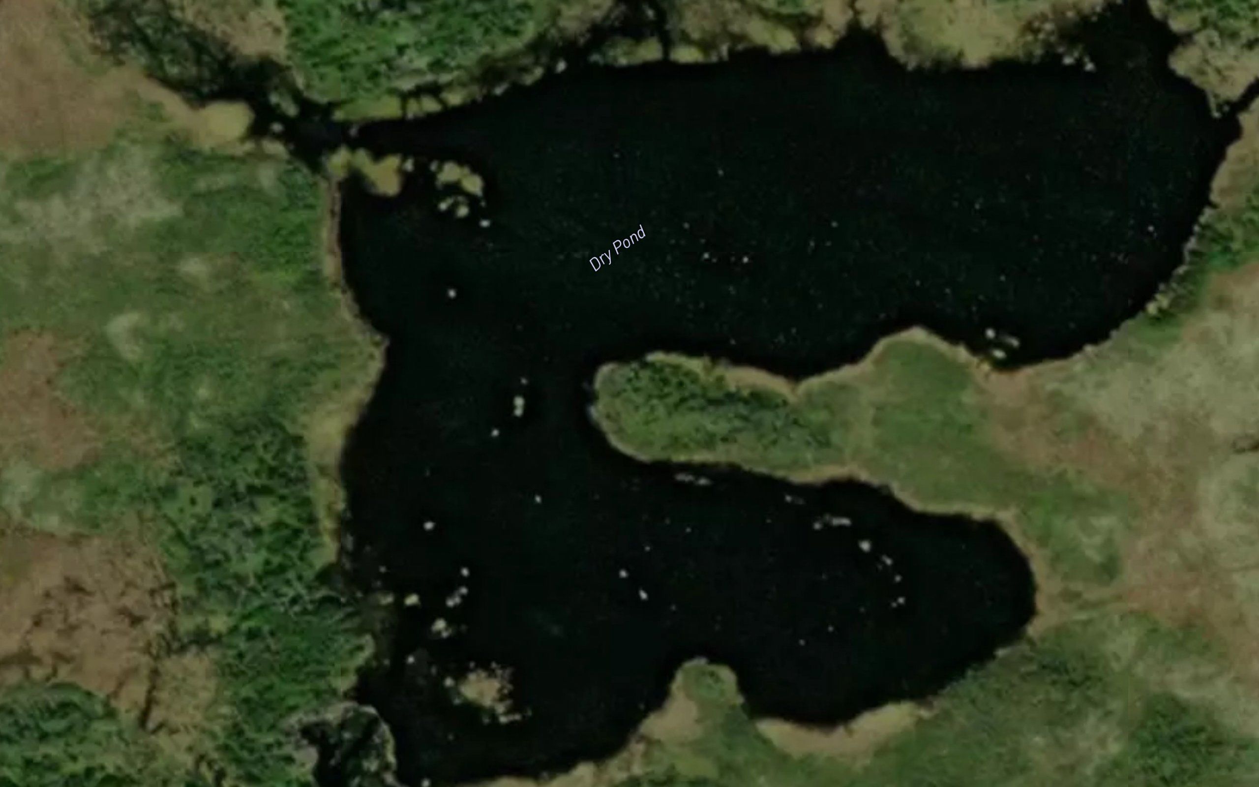 Dry Pond