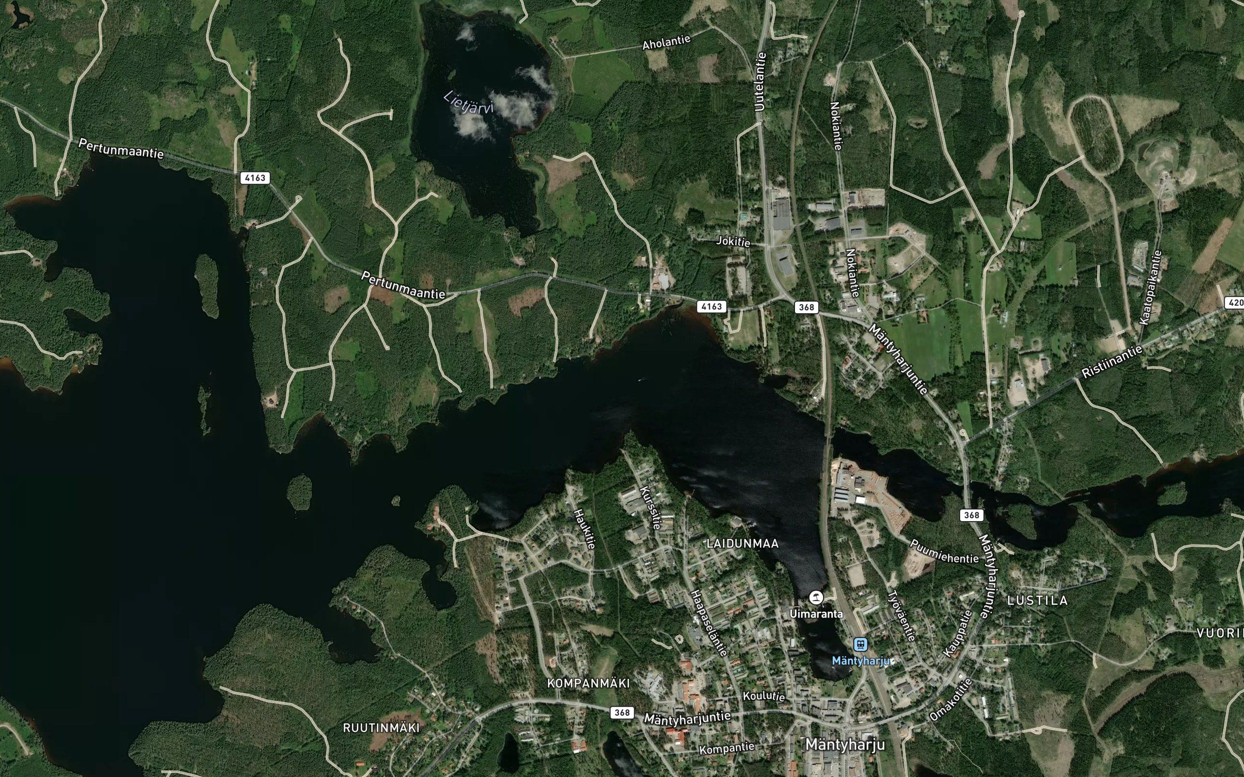 Haapaselka