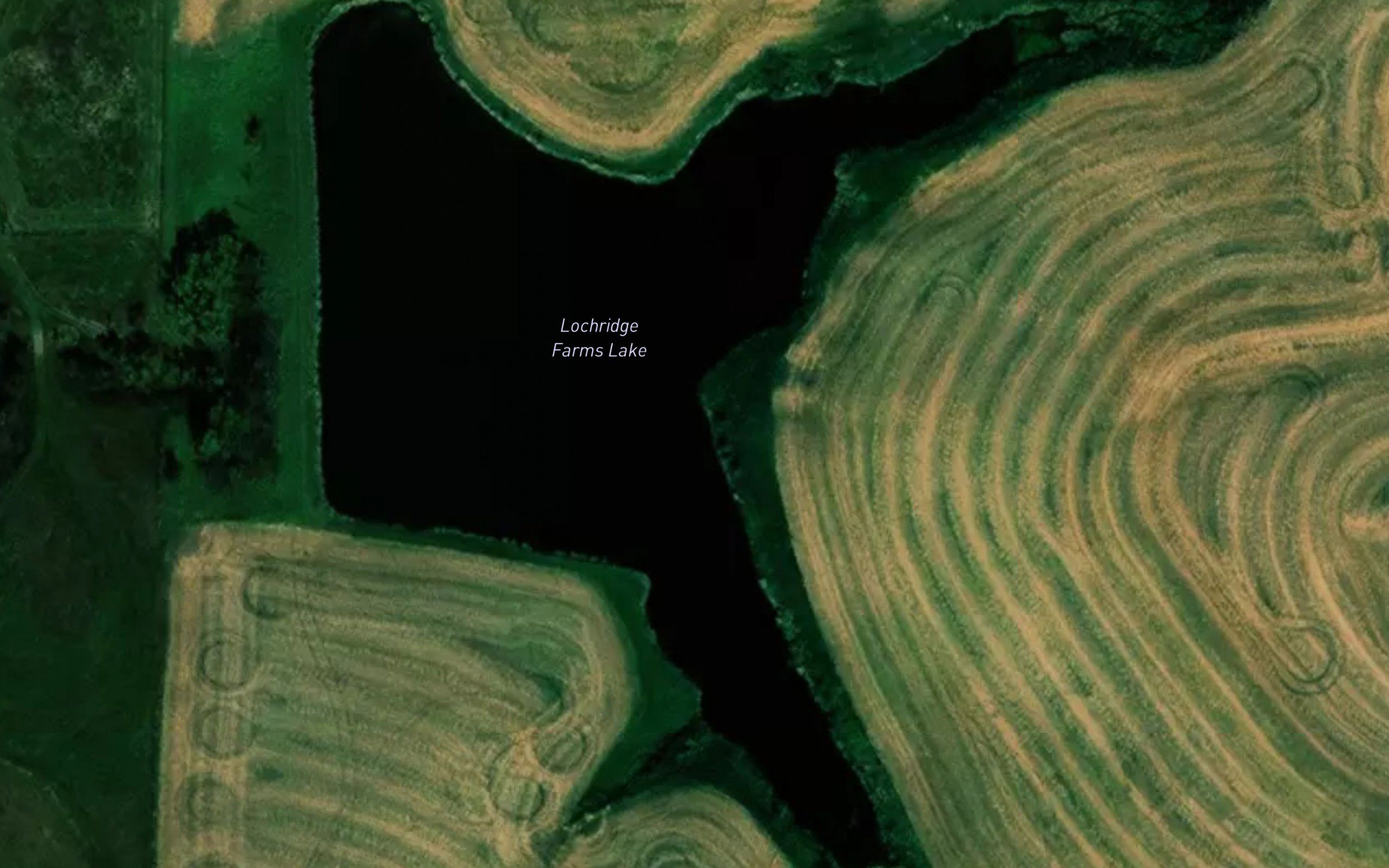 Lochridge Farms Lake