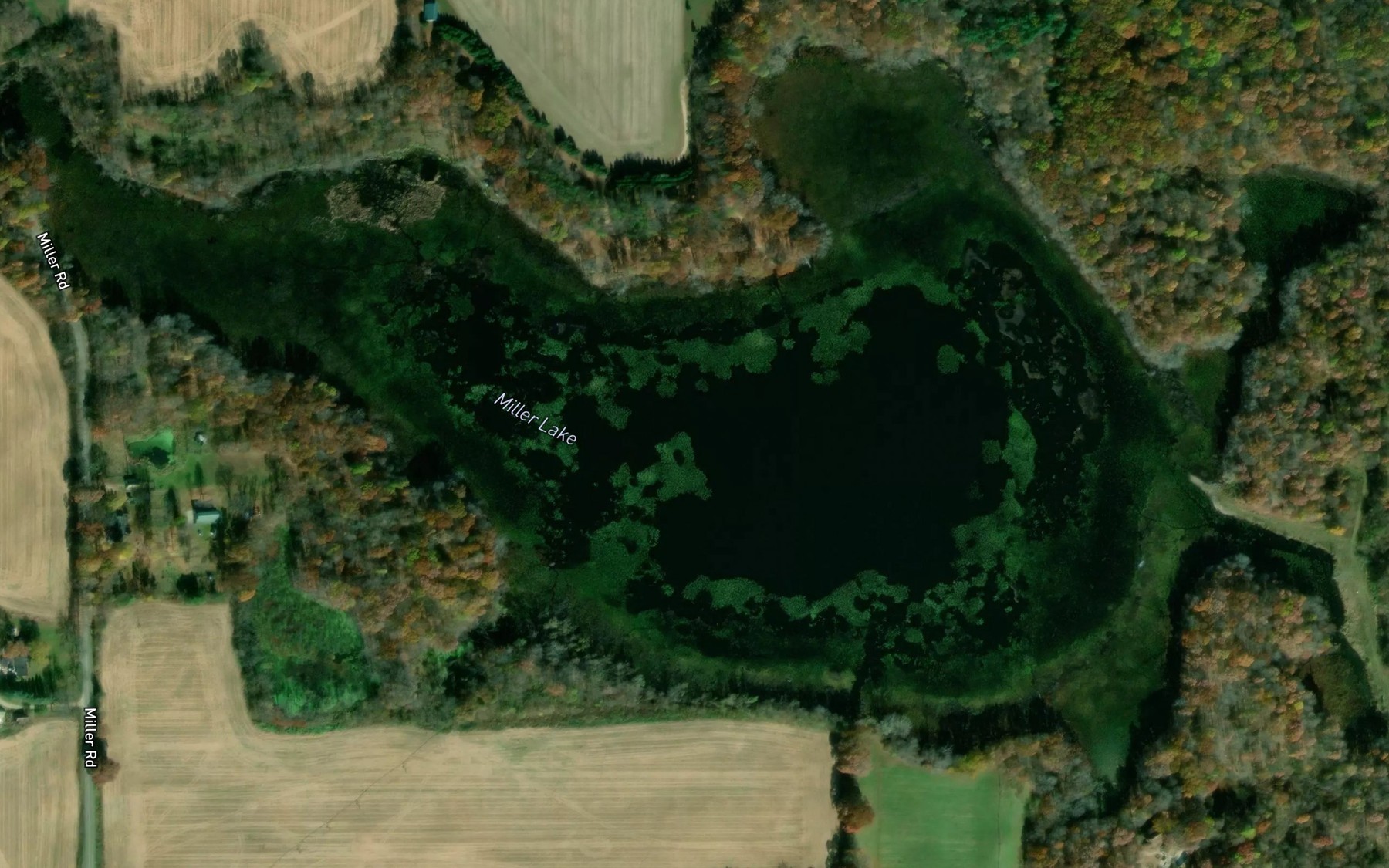 Satellite map of the Mill Lake