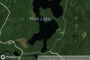 Mule Lake