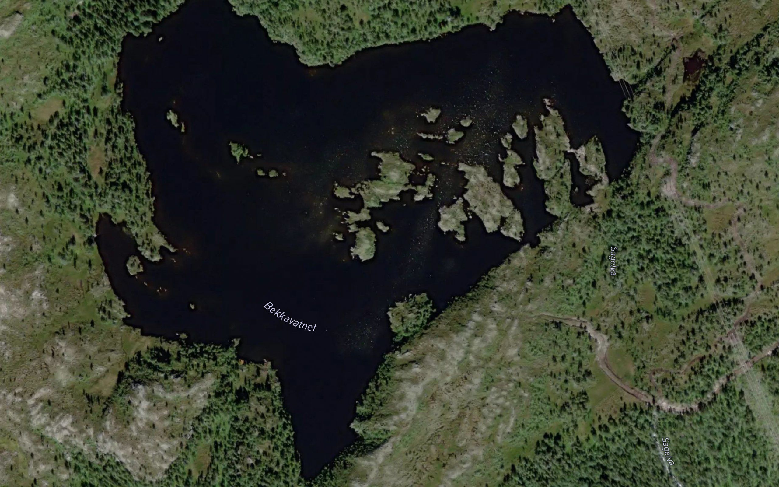 Bekkavatnet