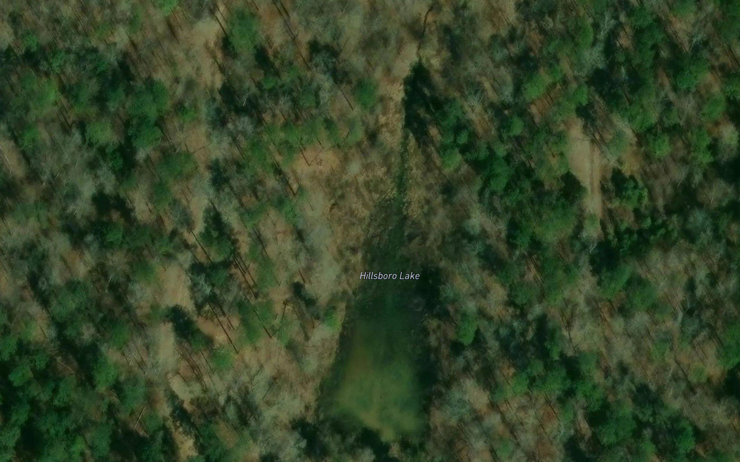 Hillsboro Lake