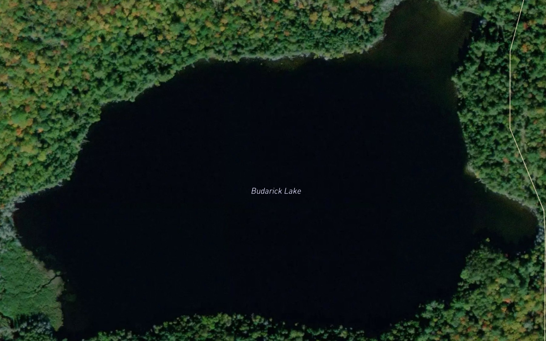 Satellite map of the Budarick Lake