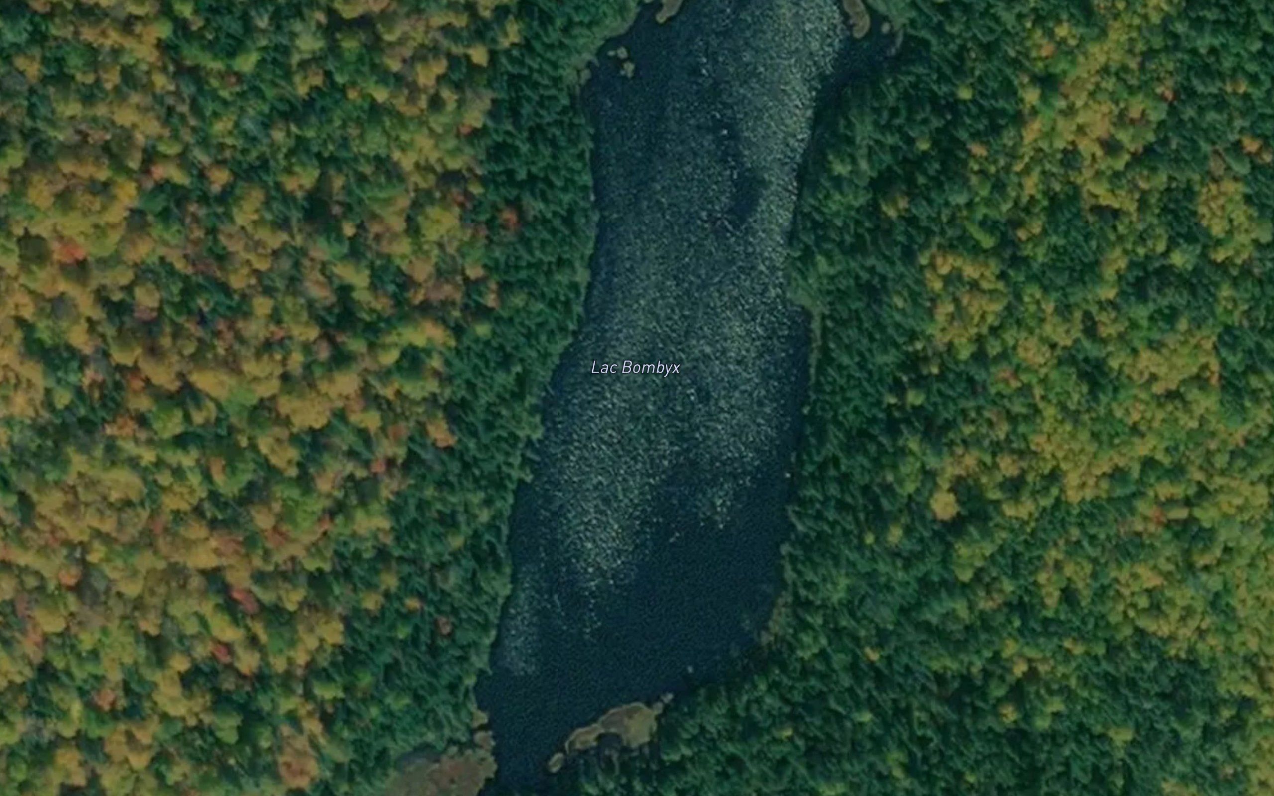 Lac Bombyx