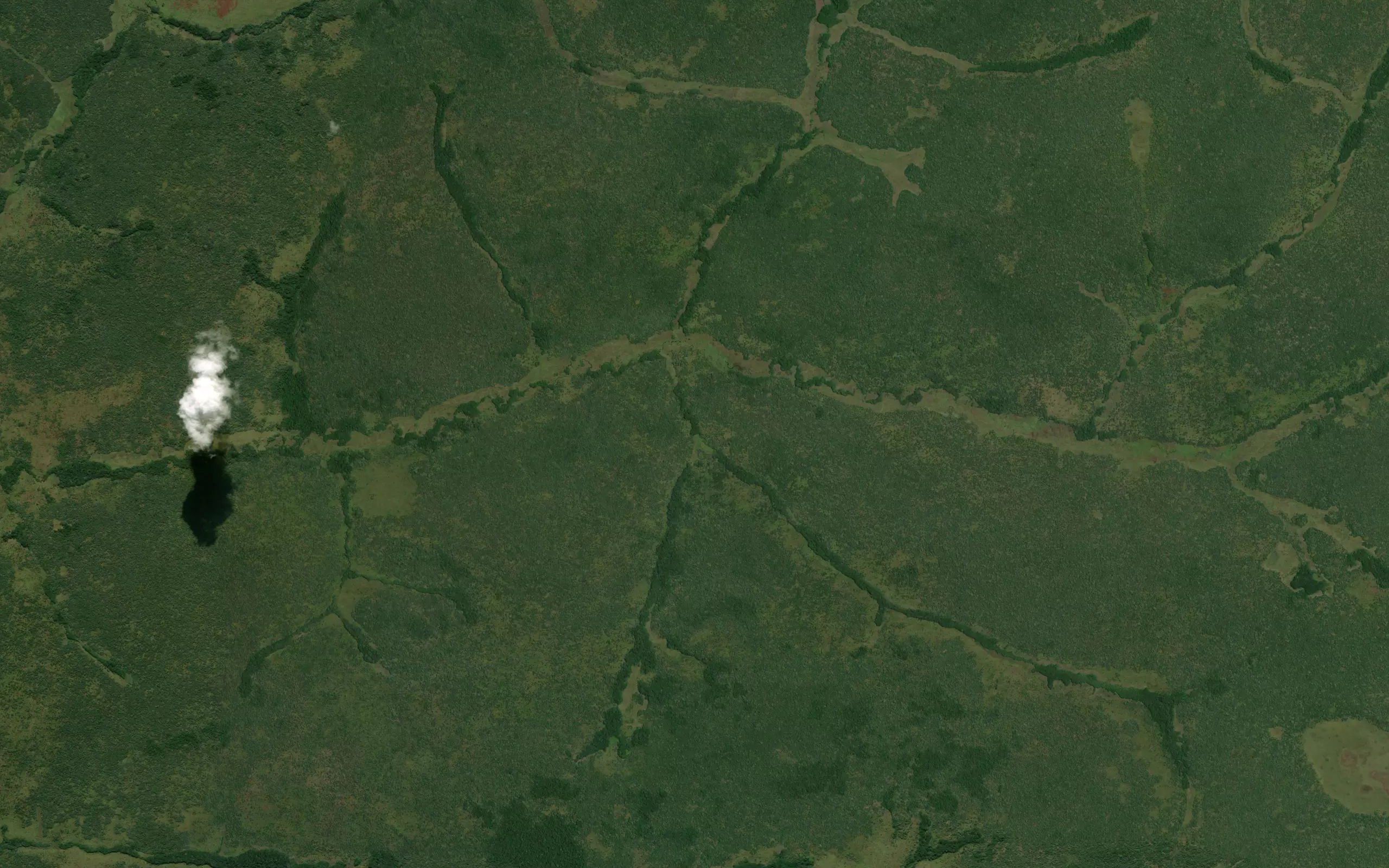 Catandala