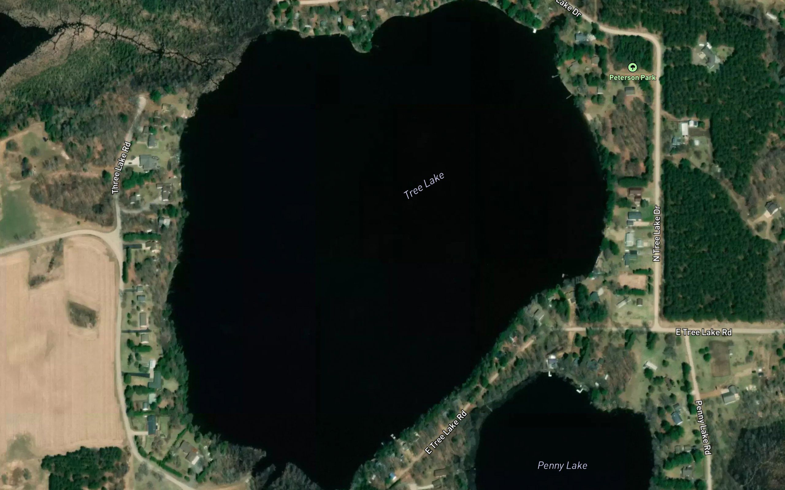 Tree Lake
