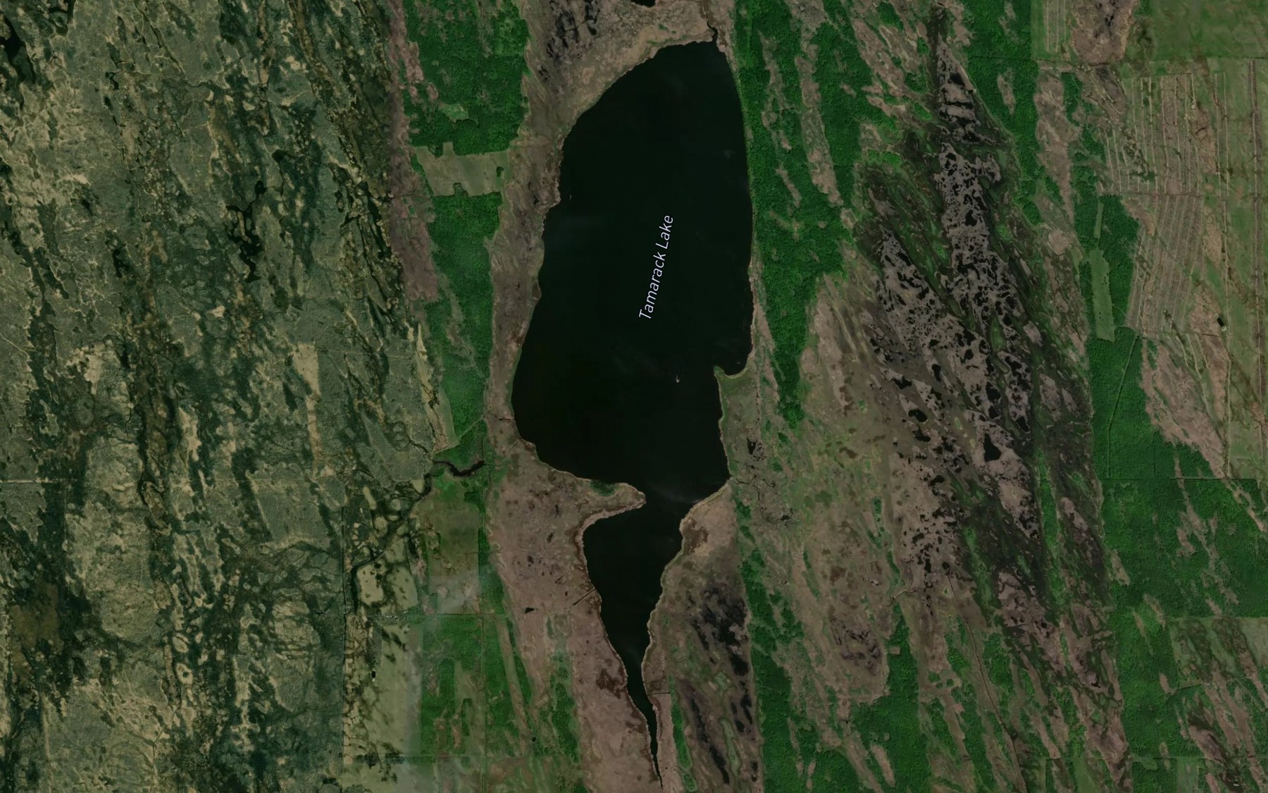 Satellite map of the Tamarack Lake