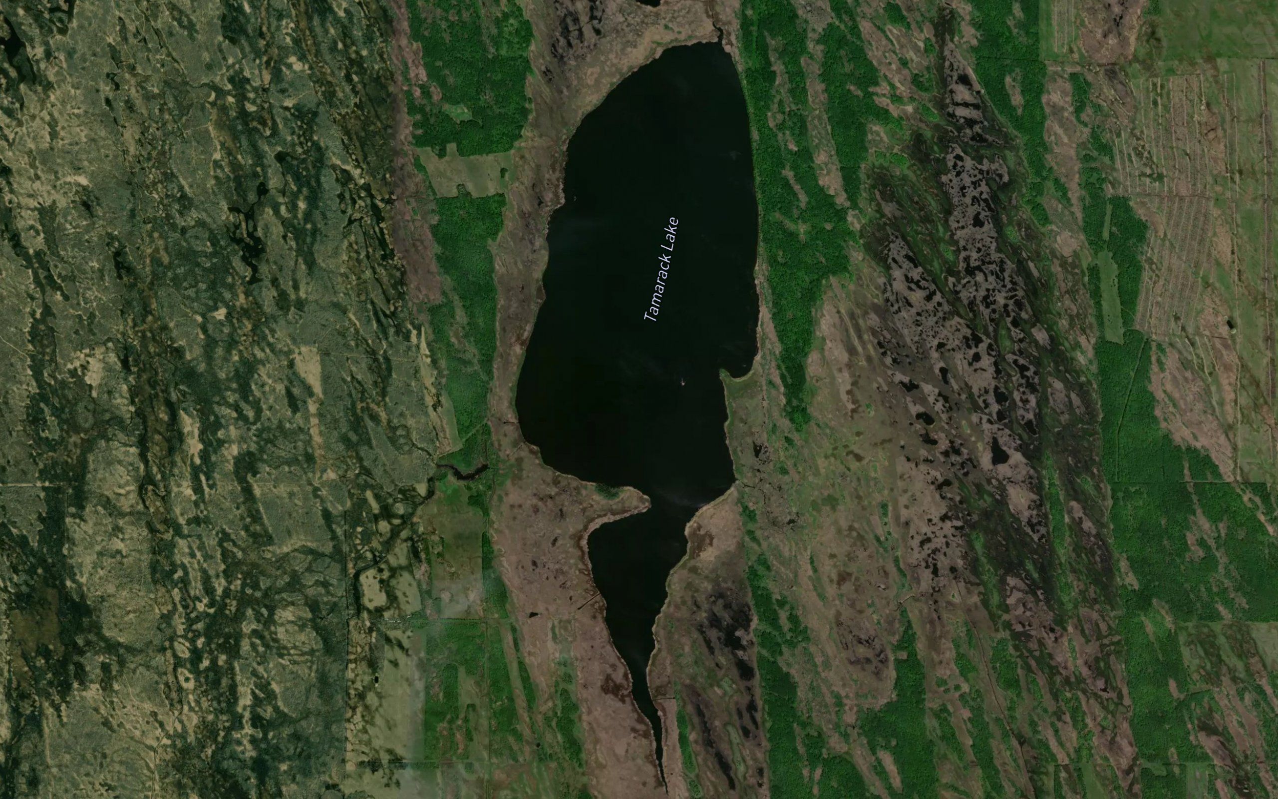 Tamarack Lake