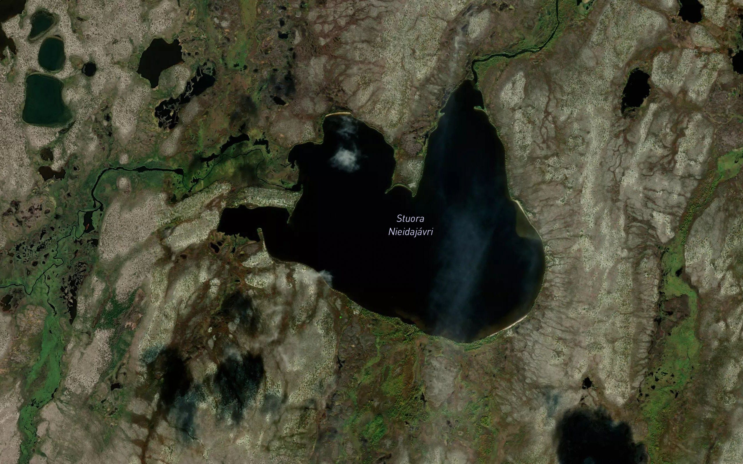 Nieidajavri,stuora