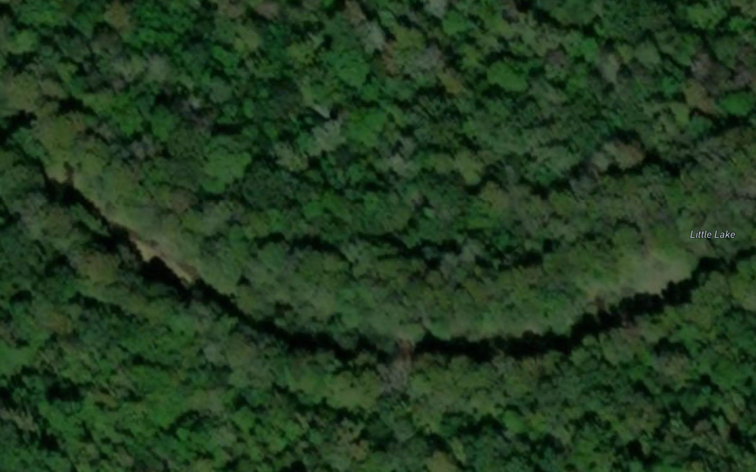 Little Lake