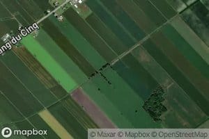 Branche du Pacifique