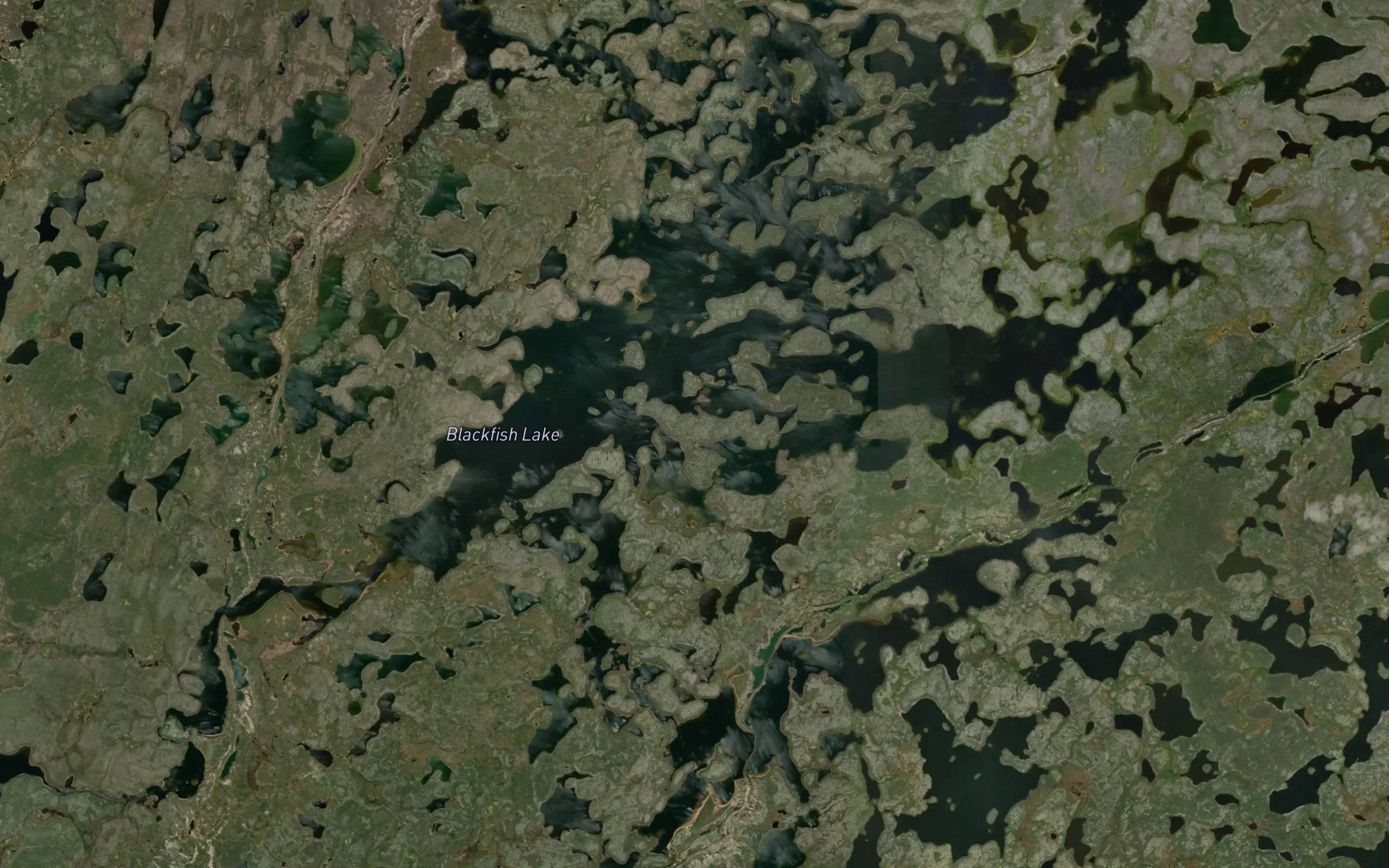 Blackfish Lake